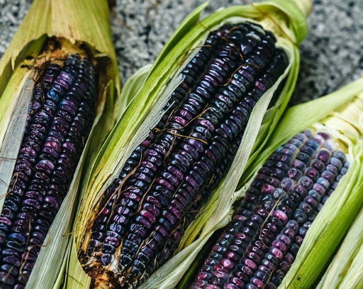 organic--whole--blue-corn-2-min